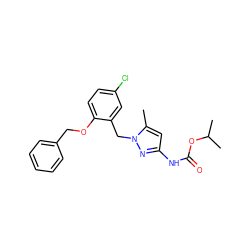 Cc1cc(NC(=O)OC(C)C)nn1Cc1cc(Cl)ccc1OCc1ccccc1 ZINC000029043560