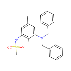 Cc1cc(NS(C)(=O)=O)c(C)c(N(Cc2ccccc2)Cc2ccccc2)c1 ZINC000026290695