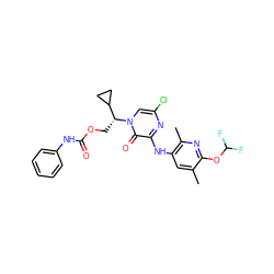 Cc1cc(Nc2nc(Cl)cn([C@H](COC(=O)Nc3ccccc3)C3CC3)c2=O)c(C)nc1OC(F)F ZINC000068208477