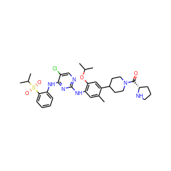 Cc1cc(Nc2ncc(Cl)c(Nc3ccccc3S(=O)(=O)C(C)C)n2)c(OC(C)C)cc1C1CCN(C(=O)[C@@H]2CCCN2)CC1 ZINC000162978667