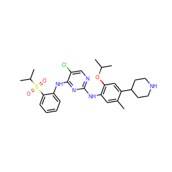 Cc1cc(Nc2ncc(Cl)c(Nc3ccccc3S(=O)(=O)C(C)C)n2)c(OC(C)C)cc1C1CCNCC1 ZINC000096272772