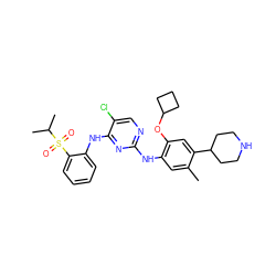 Cc1cc(Nc2ncc(Cl)c(Nc3ccccc3S(=O)(=O)C(C)C)n2)c(OC2CCC2)cc1C1CCNCC1 ZINC000096272780