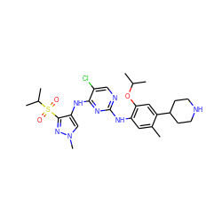 Cc1cc(Nc2ncc(Cl)c(Nc3cn(C)nc3S(=O)(=O)C(C)C)n2)c(OC(C)C)cc1C1CCNCC1 ZINC000473086692