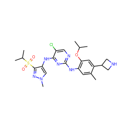 Cc1cc(Nc2ncc(Cl)c(Nc3cn(C)nc3S(=O)(=O)C(C)C)n2)c(OC(C)C)cc1C1CNC1 ZINC000473092188