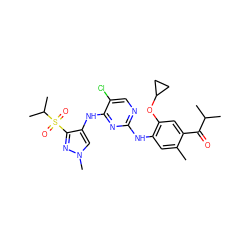 Cc1cc(Nc2ncc(Cl)c(Nc3cn(C)nc3S(=O)(=O)C(C)C)n2)c(OC2CC2)cc1C(=O)C(C)C ZINC000473091521