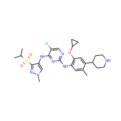 Cc1cc(Nc2ncc(Cl)c(Nc3cn(C)nc3S(=O)(=O)C(C)C)n2)c(OC2CC2)cc1C1CCNCC1 ZINC000473096791