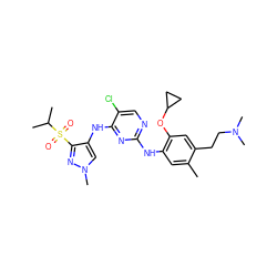 Cc1cc(Nc2ncc(Cl)c(Nc3cn(C)nc3S(=O)(=O)C(C)C)n2)c(OC2CC2)cc1CCN(C)C ZINC000473093468