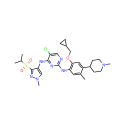 Cc1cc(Nc2ncc(Cl)c(Nc3cn(C)nc3S(=O)(=O)C(C)C)n2)c(OCC2CC2)cc1C1CCN(C)CC1 ZINC000473088662