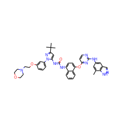 Cc1cc(Nc2nccc(Oc3ccc(NC(=O)Nc4cc(C(C)(C)C)nn4-c4cccc(OCCN5CCOCC5)c4)c4ccccc34)n2)cc2cn[nH]c12 ZINC000211177889