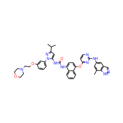 Cc1cc(Nc2nccc(Oc3ccc(NC(=O)Nc4cc(C(C)C)nn4-c4cccc(OCCN5CCOCC5)c4)c4ccccc34)n2)cc2cn[nH]c12 ZINC000211052946