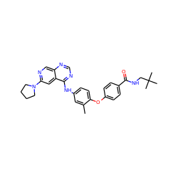 Cc1cc(Nc2ncnc3cnc(N4CCCC4)cc23)ccc1Oc1ccc(C(=O)NCC(C)(C)C)cc1 ZINC000028706424