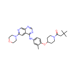 Cc1cc(Nc2ncnc3cnc(N4CCOCC4)cc23)ccc1OC1CCN(C(=O)CC(C)(C)C)CC1 ZINC000028706377