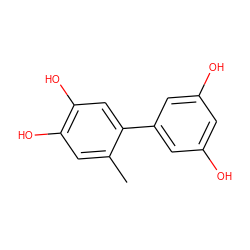 Cc1cc(O)c(O)cc1-c1cc(O)cc(O)c1 ZINC000473124183