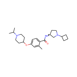 Cc1cc(OC2CCN(C(C)C)CC2)ccc1C(=O)N[C@H]1CCN(C2CCC2)C1 ZINC000653767624