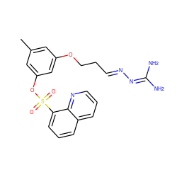 Cc1cc(OCC/C=N/N=C(N)N)cc(OS(=O)(=O)c2cccc3cccnc23)c1 ZINC000027320203