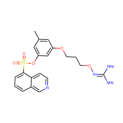 Cc1cc(OCCCON=C(N)N)cc(OS(=O)(=O)c2cccc3cnccc23)c1 ZINC000013489456