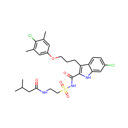 Cc1cc(OCCCc2c(C(=O)NS(=O)(=O)CCNC(=O)CC(C)C)[nH]c3cc(Cl)ccc23)cc(C)c1Cl ZINC000653720214