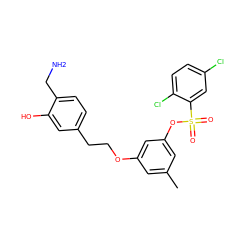 Cc1cc(OCCc2ccc(CN)c(O)c2)cc(OS(=O)(=O)c2cc(Cl)ccc2Cl)c1 ZINC000013864356