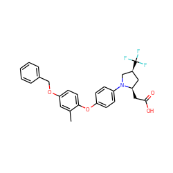 Cc1cc(OCc2ccccc2)ccc1Oc1ccc(N2C[C@@H](C(F)(F)F)C[C@H]2CC(=O)O)cc1 ZINC000116590852