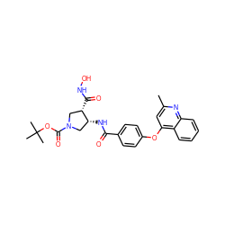 Cc1cc(Oc2ccc(C(=O)N[C@@H]3CN(C(=O)OC(C)(C)C)C[C@@H]3C(=O)NO)cc2)c2ccccc2n1 ZINC000028821945