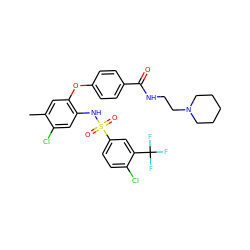 Cc1cc(Oc2ccc(C(=O)NCCN3CCCCC3)cc2)c(NS(=O)(=O)c2ccc(Cl)c(C(F)(F)F)c2)cc1Cl ZINC000082137959