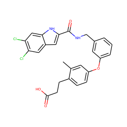 Cc1cc(Oc2cccc(CNC(=O)c3cc4cc(Cl)c(Cl)cc4[nH]3)c2)ccc1CCC(=O)O ZINC000028825485