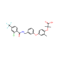 Cc1cc(Oc2cccc(CNC(=O)c3ccc(C(F)(F)F)cc3Cl)c2)ccc1OC(C)(C)C(=O)O ZINC000028825462