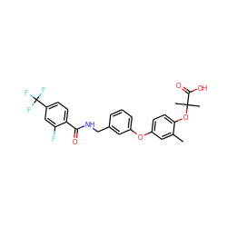 Cc1cc(Oc2cccc(CNC(=O)c3ccc(C(F)(F)F)cc3F)c2)ccc1OC(C)(C)C(=O)O ZINC000028825463