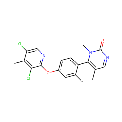 Cc1cc(Oc2ncc(Cl)c(C)c2Cl)ccc1-c1c(C)cnc(=O)n1C ZINC000261084881