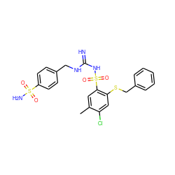 Cc1cc(S(=O)(=O)NC(=N)NCc2ccc(S(N)(=O)=O)cc2)c(SCc2ccccc2)cc1Cl ZINC000103230268