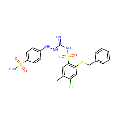 Cc1cc(S(=O)(=O)NC(=N)NNc2ccc(S(N)(=O)=O)cc2)c(SCc2ccccc2)cc1Cl ZINC000103230266