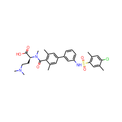 Cc1cc(S(=O)(=O)Nc2cccc(-c3cc(C)c(C(=O)N(C)[C@@H](CCN(C)C)C(=O)O)c(C)c3)c2)c(C)cc1Cl ZINC000095576525