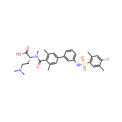 Cc1cc(S(=O)(=O)Nc2cccc(-c3cc(C)c(C(=O)N(C)[C@H](CCN(C)C)C(=O)O)c(C)c3)c2)c(C)cc1Cl ZINC000095572876