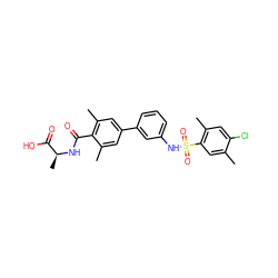 Cc1cc(S(=O)(=O)Nc2cccc(-c3cc(C)c(C(=O)N[C@@H](C)C(=O)O)c(C)c3)c2)c(C)cc1Cl ZINC000095572692