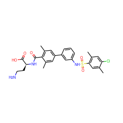 Cc1cc(S(=O)(=O)Nc2cccc(-c3cc(C)c(C(=O)N[C@@H](CCN)C(=O)O)c(C)c3)c2)c(C)cc1Cl ZINC000095578068