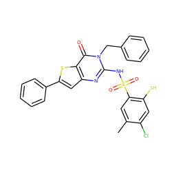 Cc1cc(S(=O)(=O)Nc2nc3cc(-c4ccccc4)sc3c(=O)n2Cc2ccccc2)c(S)cc1Cl ZINC000095615230