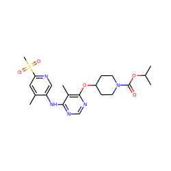 Cc1cc(S(C)(=O)=O)ncc1Nc1ncnc(OC2CCN(C(=O)OC(C)C)CC2)c1C ZINC000073279644