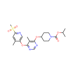 Cc1cc(S(C)(=O)=O)ncc1Oc1ncnc(OC2CCN(C(=O)OC(C)C)CC2)c1C ZINC000073279640