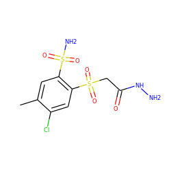 Cc1cc(S(N)(=O)=O)c(S(=O)(=O)CC(=O)NN)cc1Cl ZINC000034799859