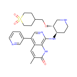 Cc1cc2c(-c3cccnc3)cnc(N[C@@H]3CCNC[C@H]3OCC3CCS(=O)(=O)CC3)c2[nH]c1=O ZINC000473090213