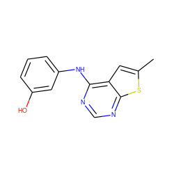 Cc1cc2c(Nc3cccc(O)c3)ncnc2s1 ZINC000004931969