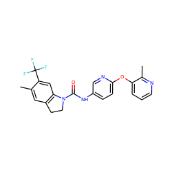 Cc1cc2c(cc1C(F)(F)F)N(C(=O)Nc1ccc(Oc3cccnc3C)nc1)CC2 ZINC000000579013