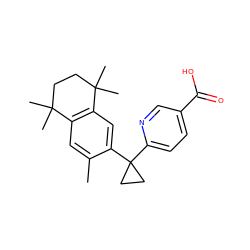 Cc1cc2c(cc1C1(c3ccc(C(=O)O)cn3)CC1)C(C)(C)CCC2(C)C ZINC000003873121