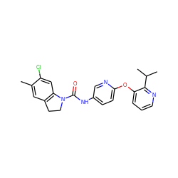 Cc1cc2c(cc1Cl)N(C(=O)Nc1ccc(Oc3cccnc3C(C)C)nc1)CC2 ZINC000029547617