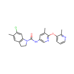 Cc1cc2c(cc1Cl)N(C(=O)Nc1cnc(Oc3cccnc3C)c(C)c1)CC2 ZINC000029552951