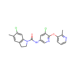 Cc1cc2c(cc1Cl)N(C(=O)Nc1cnc(Oc3cccnc3C)c(Cl)c1)CC2 ZINC000029544536