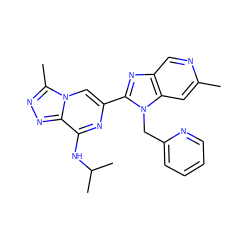 Cc1cc2c(cn1)nc(-c1cn3c(C)nnc3c(NC(C)C)n1)n2Cc1ccccn1 ZINC000209315490