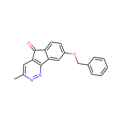 Cc1cc2c(nn1)-c1cc(OCc3ccccc3)ccc1C2=O ZINC000035787432