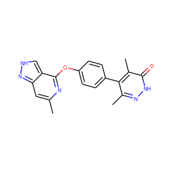 Cc1cc2n[nH]cc2c(Oc2ccc(-c3c(C)n[nH]c(=O)c3C)cc2)n1 ZINC000169705964