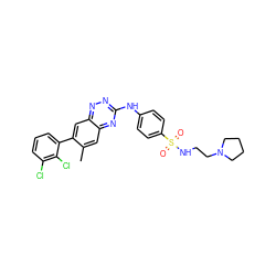 Cc1cc2nc(Nc3ccc(S(=O)(=O)NCCN4CCCC4)cc3)nnc2cc1-c1cccc(Cl)c1Cl ZINC000096167761